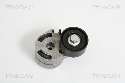 TRISCAN Riemenspanner, Keilrippenriemen