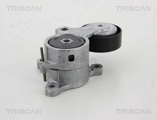 TRISCAN Riemenspanner, Keilrippenriemen