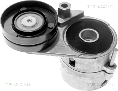 TRISCAN Riemenspanner, Keilrippenriemen