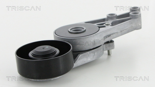 TRISCAN Riemenspanner, Keilrippenriemen