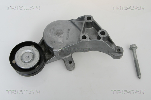 TRISCAN Riemenspanner, Keilrippenriemen