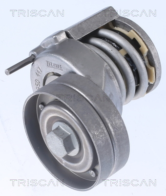 TRISCAN Riemenspanner, Keilrippenriemen