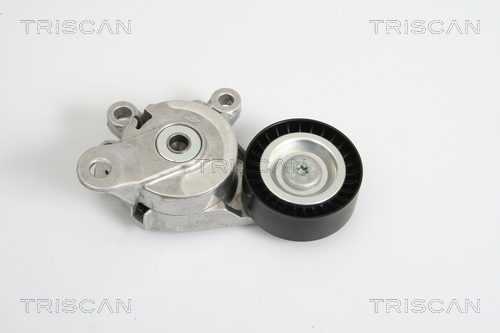 TRISCAN Riemenspanner, Keilrippenriemen