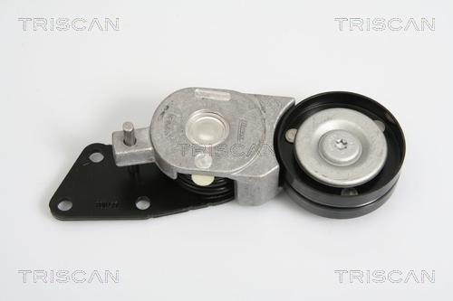 TRISCAN Riemenspanner, Keilrippenriemen