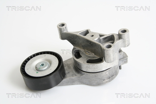 TRISCAN Riemenspanner, Keilrippenriemen