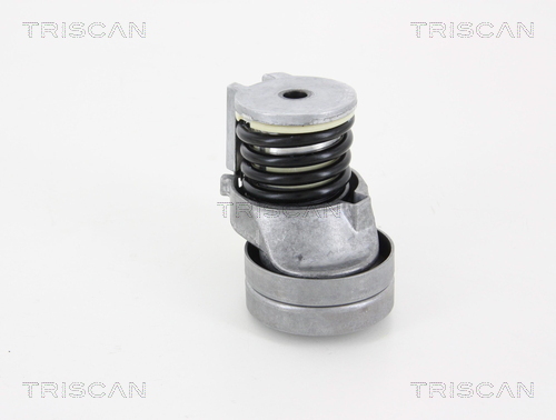 TRISCAN Riemenspanner, Keilrippenriemen
