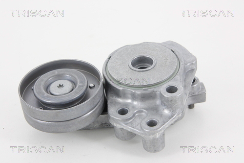 TRISCAN Riemenspanner, Keilrippenriemen