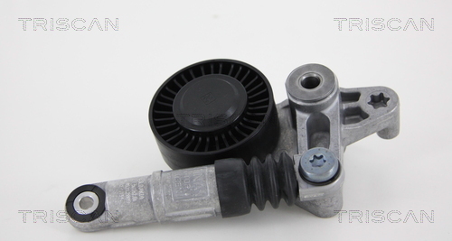 TRISCAN Riemenspanner, Keilrippenriemen