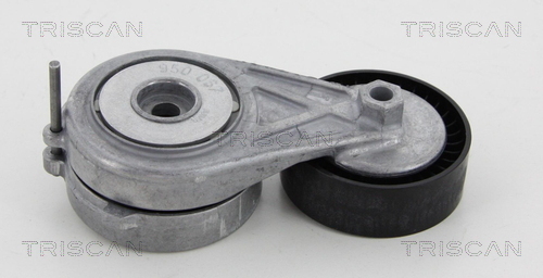 TRISCAN Riemenspanner, Keilrippenriemen