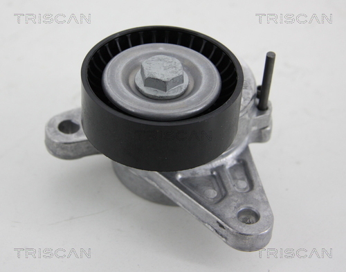 TRISCAN Riemenspanner, Keilrippenriemen