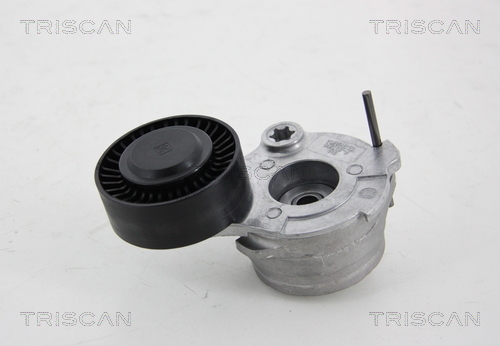 TRISCAN Riemenspanner, Keilrippenriemen
