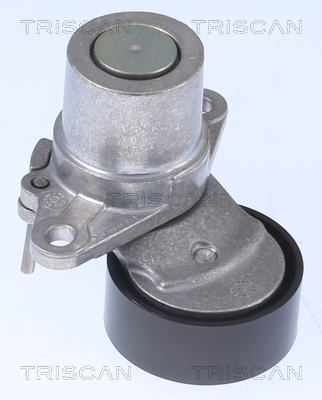 TRISCAN Riemenspanner, Keilrippenriemen