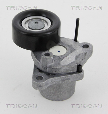 TRISCAN Riemenspanner, Keilrippenriemen