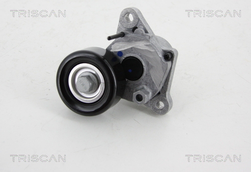 TRISCAN Riemenspanner, Keilrippenriemen