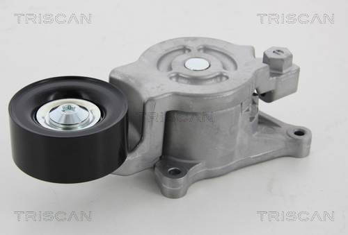 TRISCAN Riemenspanner, Keilrippenriemen