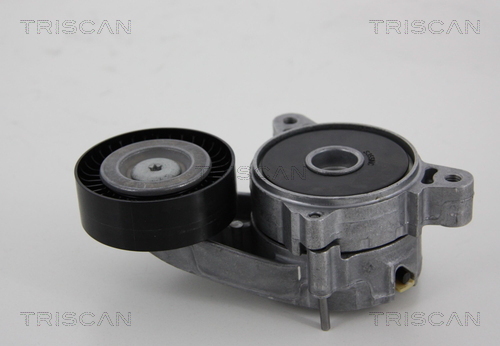 TRISCAN Riemenspanner, Keilrippenriemen