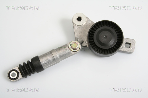 TRISCAN Riemenspanner, Keilrippenriemen