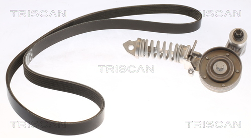 TRISCAN Keilrippenriemensatz