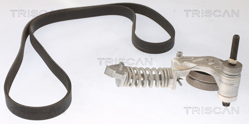 TRISCAN Keilrippenriemensatz