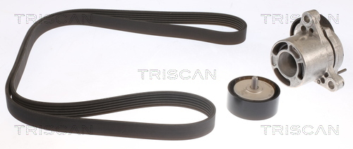 TRISCAN Keilrippenriemensatz