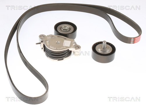 TRISCAN Keilrippenriemensatz