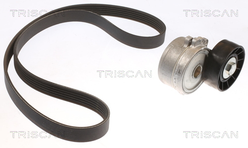 TRISCAN Keilrippenriemensatz