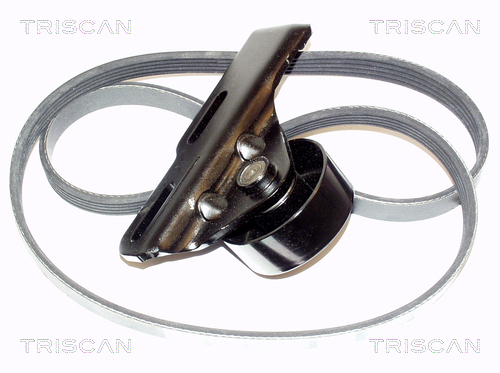 TRISCAN Keilrippenriemensatz