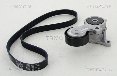 TRISCAN Keilrippenriemensatz
