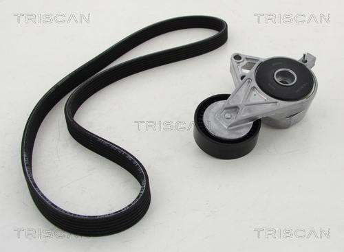 TRISCAN Keilrippenriemensatz