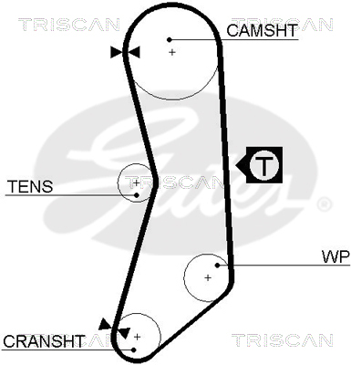 TRISCAN Zahnriemen