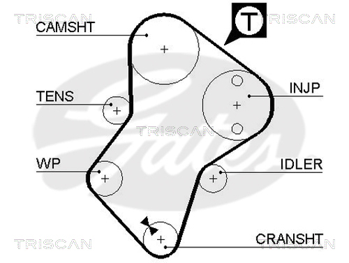 TRISCAN Zahnriemen