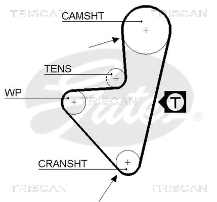 TRISCAN Zahnriemen