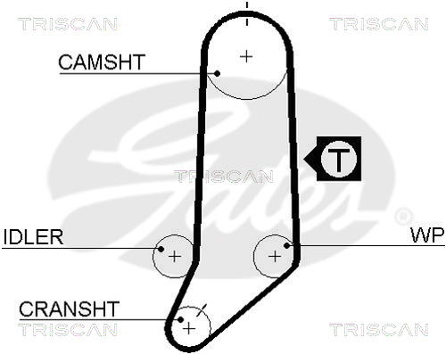 TRISCAN Zahnriemen