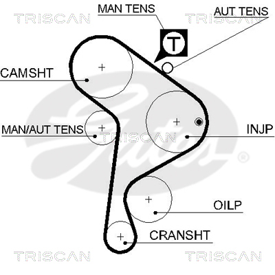TRISCAN Zahnriemen