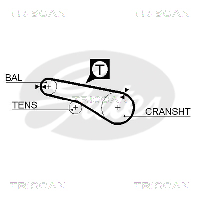 TRISCAN Zahnriemen