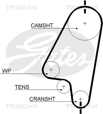 TRISCAN Zahnriemen
