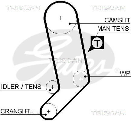 TRISCAN Zahnriemen
