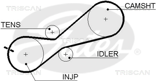 TRISCAN Zahnriemen