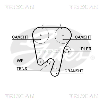 TRISCAN Zahnriemen