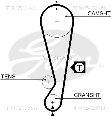 TRISCAN Zahnriemen
