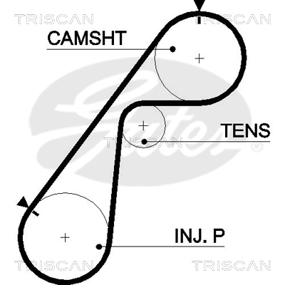 TRISCAN Zahnriemen