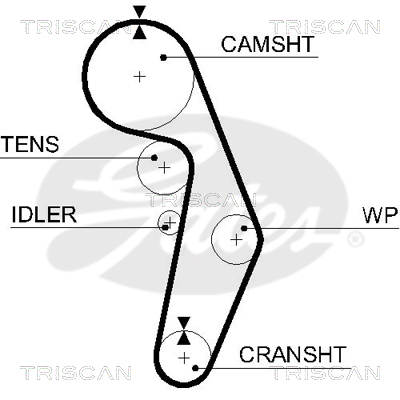 TRISCAN Zahnriemen