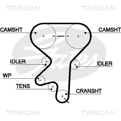 TRISCAN Zahnriemen