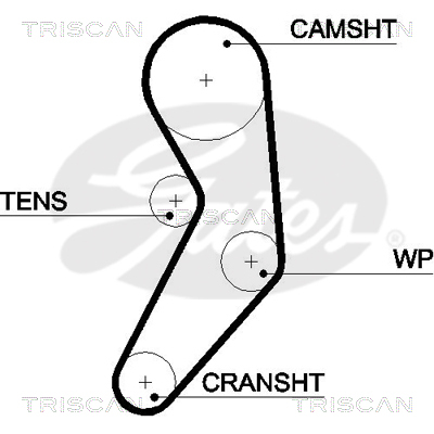 TRISCAN Zahnriemen