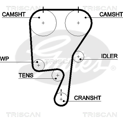 TRISCAN Zahnriemen