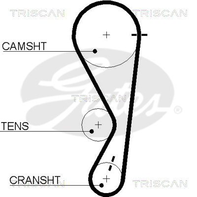 TRISCAN Zahnriemen