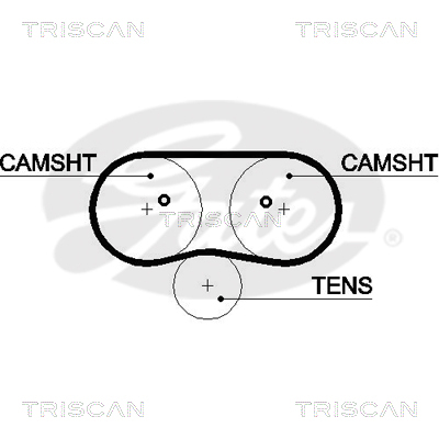 TRISCAN Zahnriemen