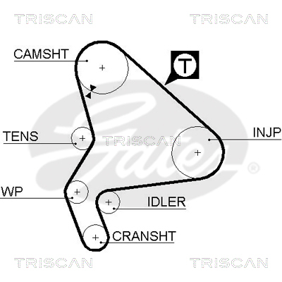 TRISCAN Zahnriemen