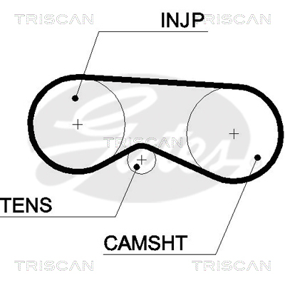 TRISCAN Zahnriemen