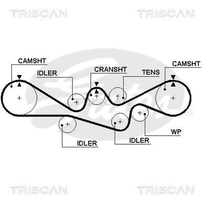 TRISCAN Zahnriemen